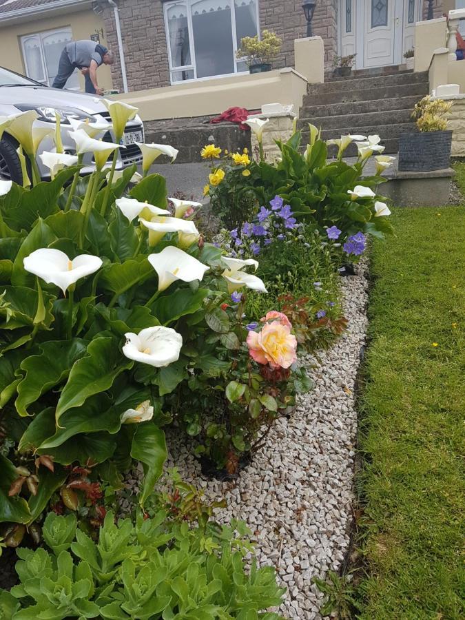 Channel View Ballyshannon Luaran gambar